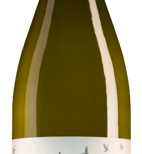 Anjou Blanc – Château de Passavant