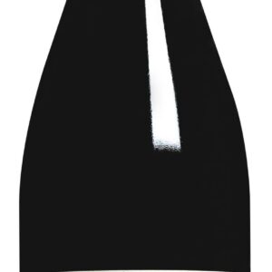 Sancerre Rouge “Apud Sariacum” – Domaine Raimbault