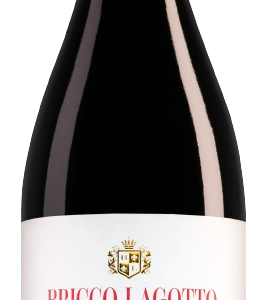 Bricco Lagotto Barbera Passito – Piemonte