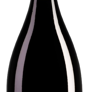 C. Kloss Sparkling Tea Naturtalente Grüner Tee alcoholvrij