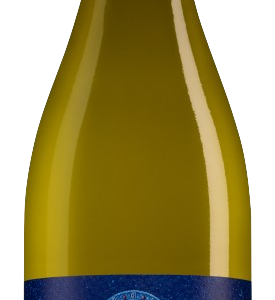 Castelo de Medina - Fermentado en Barrica Verdejo