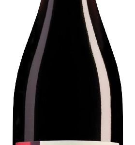 Val de Loire Gamay – Domaine La Tour Beaumont