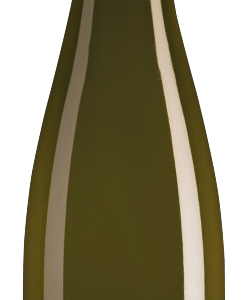 Blanc de Noir Spätburgunder – Stefan Winter