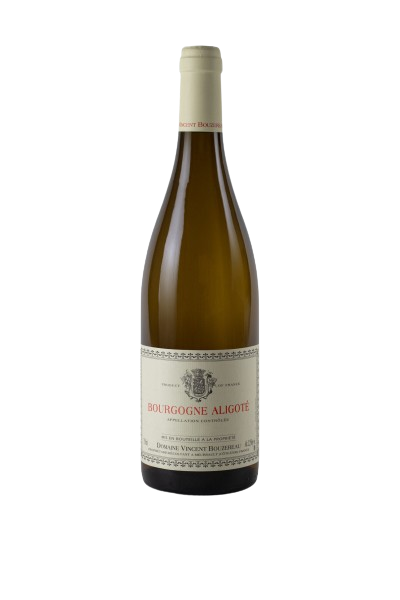 Bourgogne Aligoté – Domaine Vincent Bouzereau