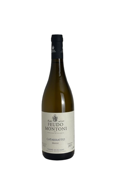 Catarratto del Masso – Feudo Montoni