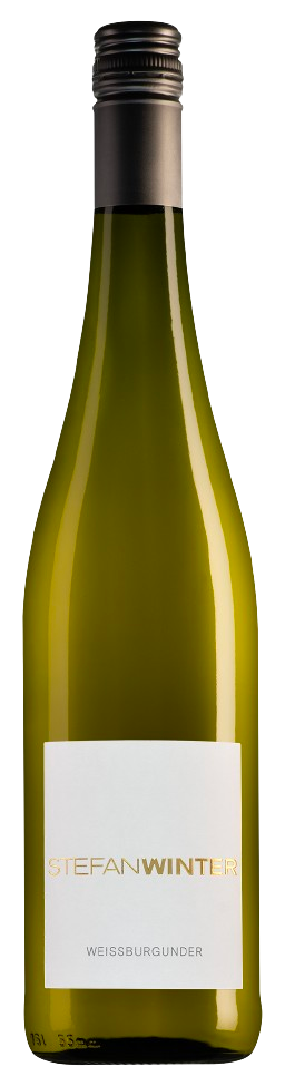 Weissburgunder – Stefan Winter