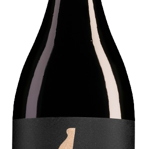Équinoxe Cabernet-Syrah – Domaine de l'Arjolle