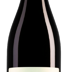 Domaine de Pallus Chinon Cabernet Franc