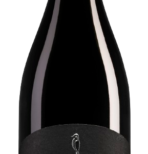 Rosso Piceno – Tenuta De Angelis