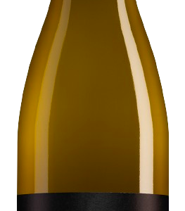 Alto Adige Aristos Sauvignon – Kellerei Eisacktal