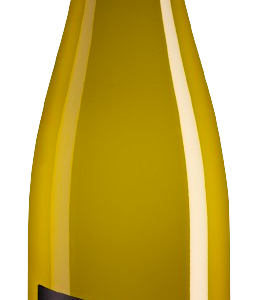 Eisacktal Weinberg Dolomiten Weiss Isaras