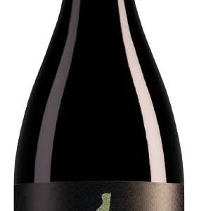 Équinoxe Zéro Cabernet-Merlot Rouge Alcoholvrij – Domaine de l'Arjolle