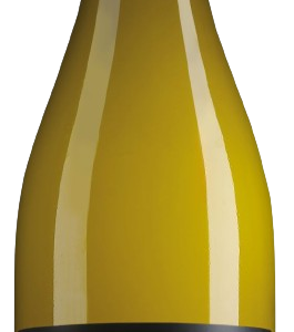 Friuli Pinot Grigio – Di Lenardo Vineyards